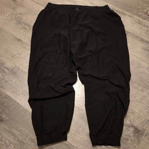 Beyond Yoga Plus Size Joggers - Picture 6 of 7